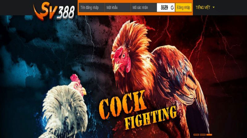 Đá gà online tại Sv388 - sân chơi cá cược uy tín